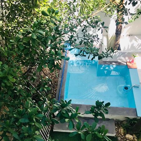 Cozy Tiny Studio Acasadialexplayadelcarmen ปลายาเดลการ์เมน ภายนอก รูปภาพ