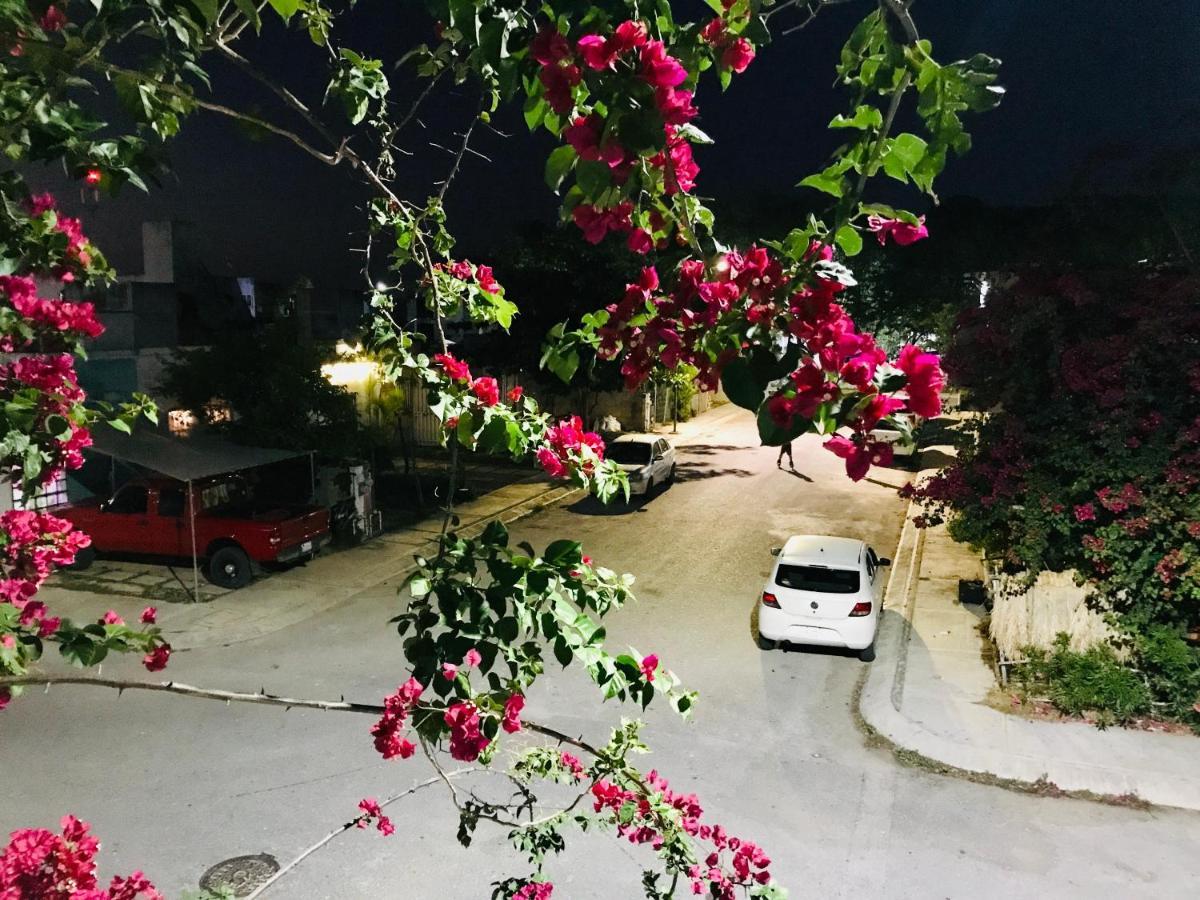 Cozy Tiny Studio Acasadialexplayadelcarmen ปลายาเดลการ์เมน ภายนอก รูปภาพ