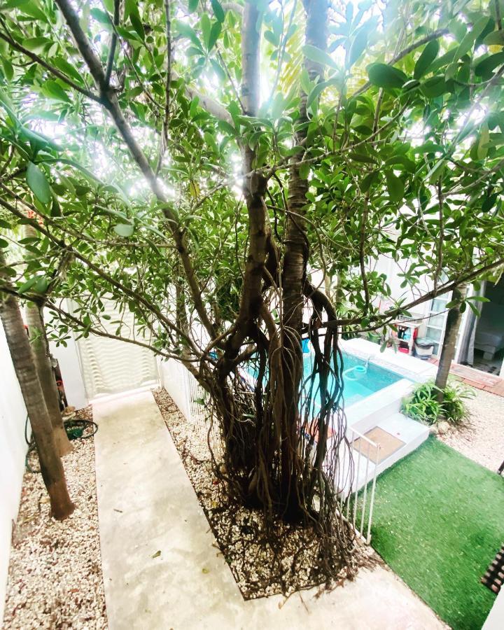 Cozy Tiny Studio Acasadialexplayadelcarmen ปลายาเดลการ์เมน ภายนอก รูปภาพ