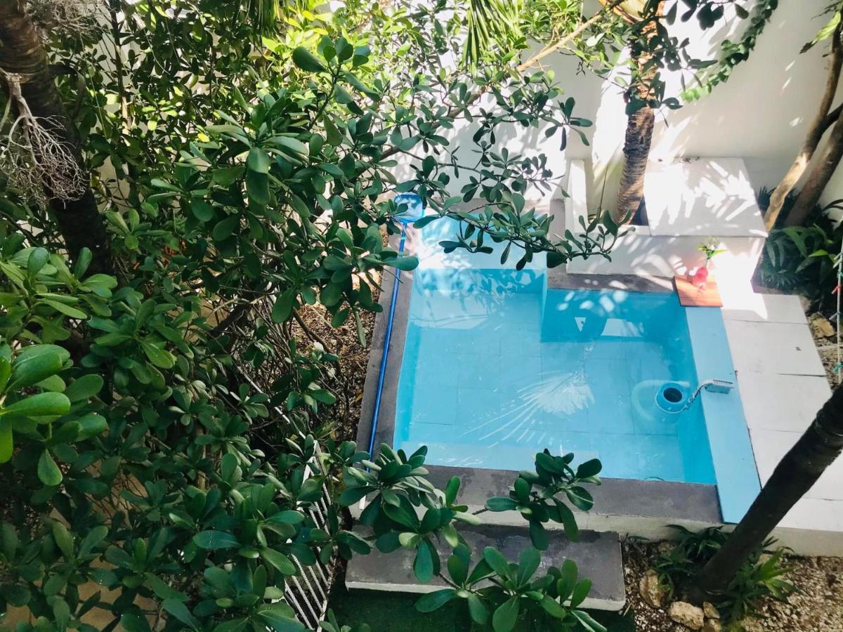 Cozy Tiny Studio Acasadialexplayadelcarmen ปลายาเดลการ์เมน ภายนอก รูปภาพ