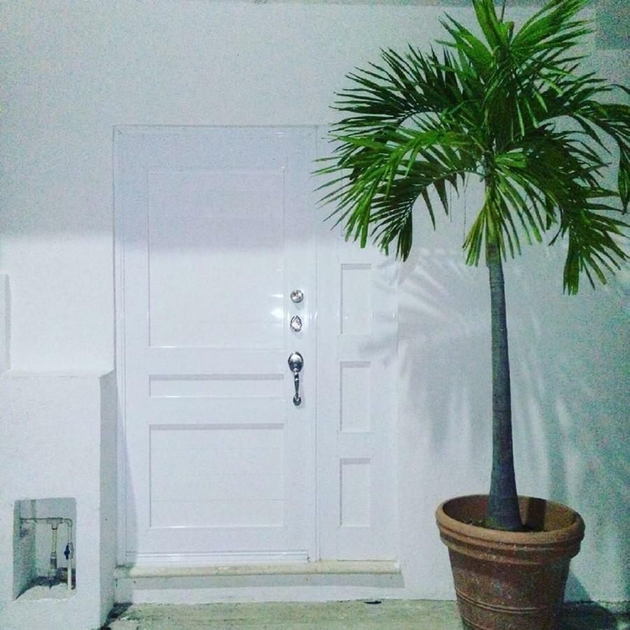 Cozy Tiny Studio Acasadialexplayadelcarmen ปลายาเดลการ์เมน ภายนอก รูปภาพ